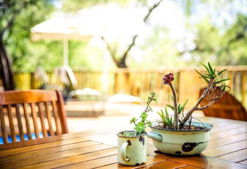 Bed and Breakfast Riverside Guest Lodge 5