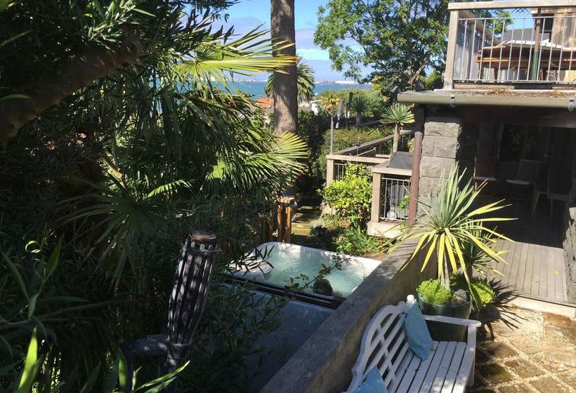 Bed and Breakfast Matua Lodge 6