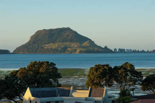 Bed and Breakfast Matua Lodge 8