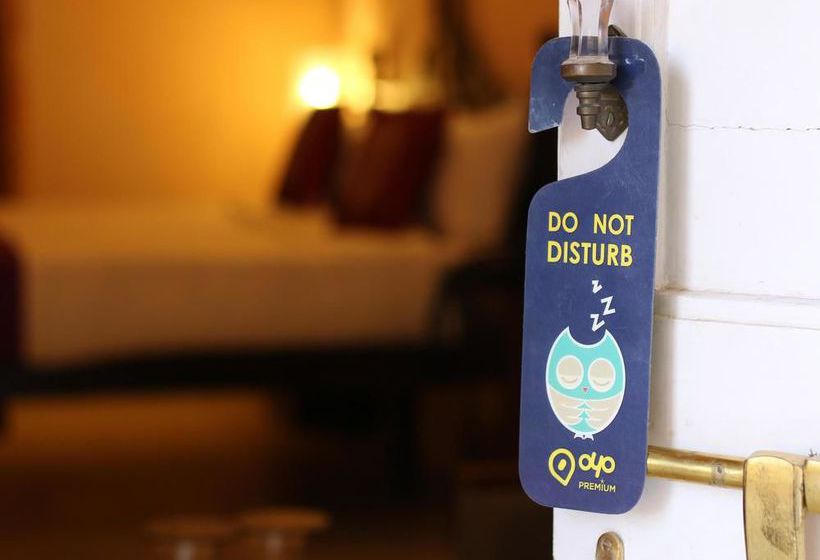 Hotel Oyo Premium Iit Jodhpur 10