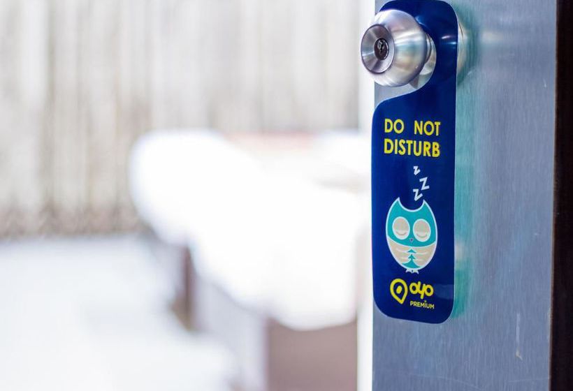 Hotel Oyo Premium Station Road Jodhpur 17