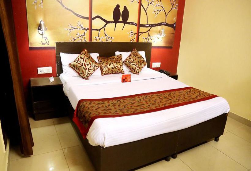 Hotel Oyo Rooms Shastri Market Jalandhar Jalandhar Punjab