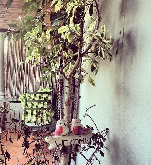 Bed and Breakfast Harfield Guest Villa