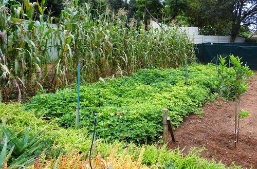 Pension Blackheath Manor Guest House 7