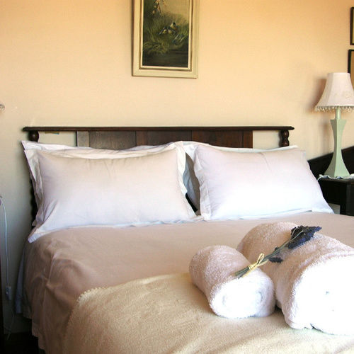 Pension Whale Watchers Inn 7