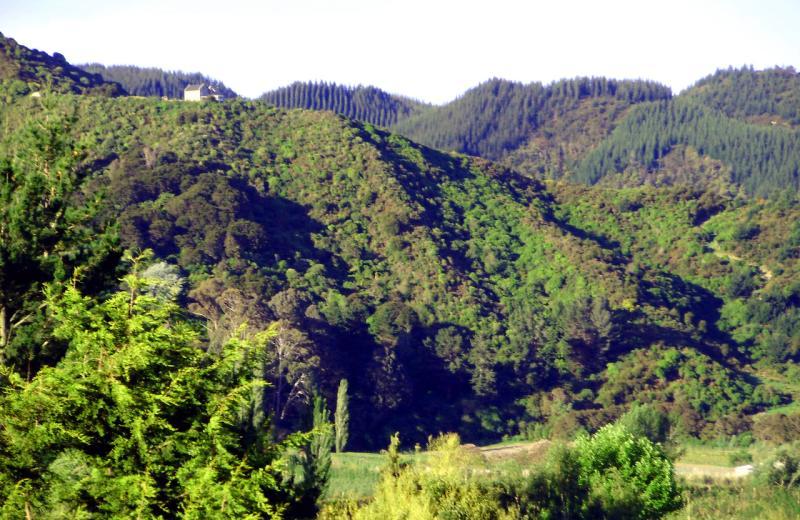 Hotel Terraced Chalets 5