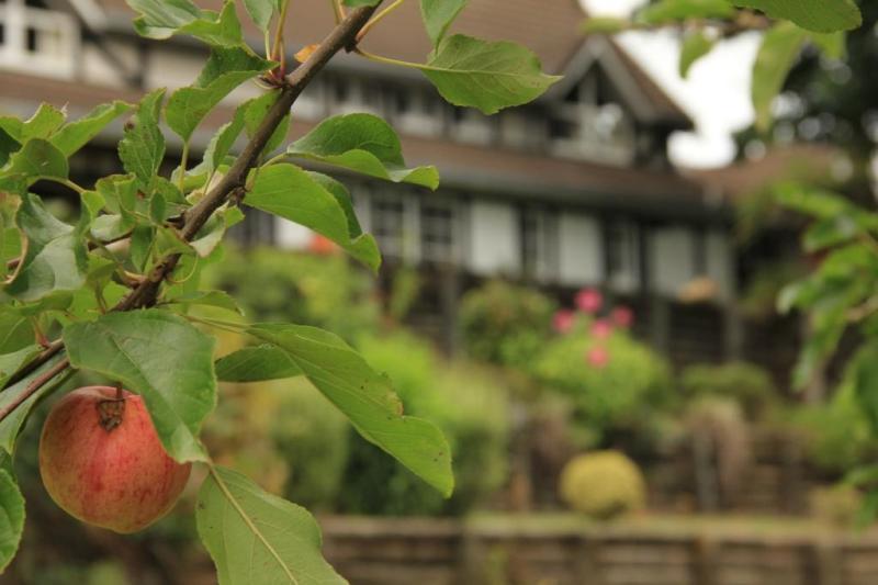 Hotel Fantail Lodge Country Estate 14