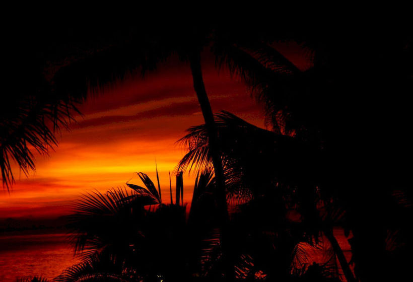 Sibaja Palms Sunset Beach Apartment 3