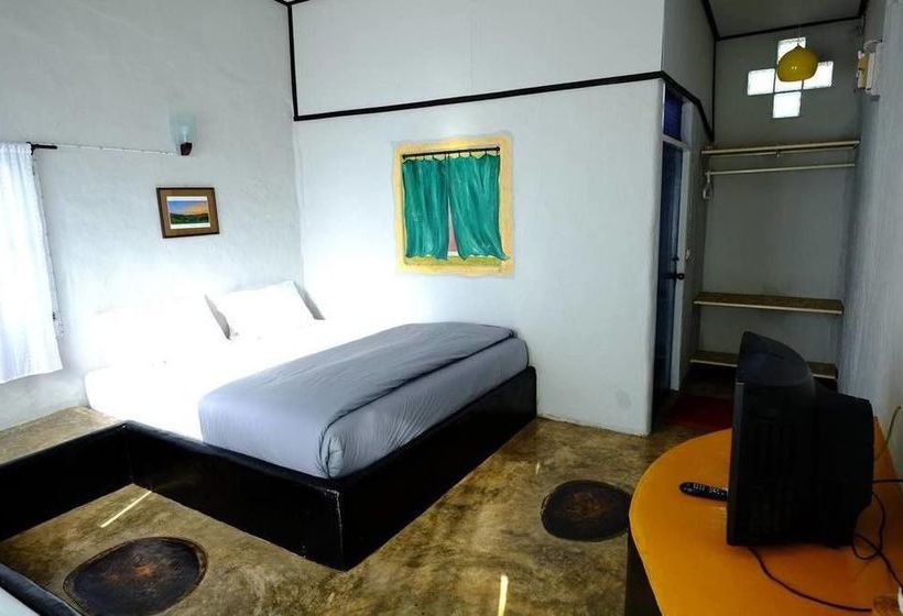 Hotel Canary Guesthouse 12