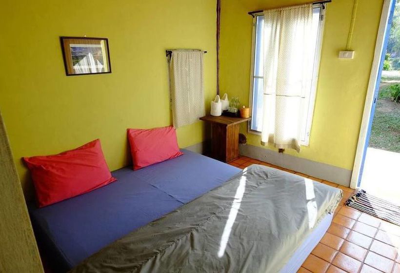 Hotel Canary Guesthouse 14