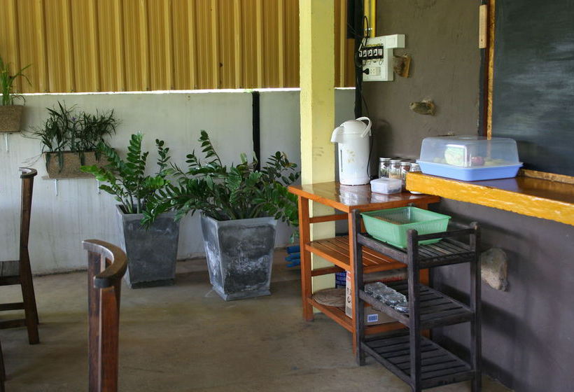 Hotel Canary Guesthouse 3