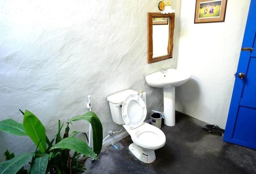 Hotel Canary Guesthouse 5