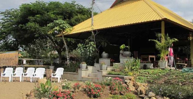 Hotel Canary Guesthouse 9