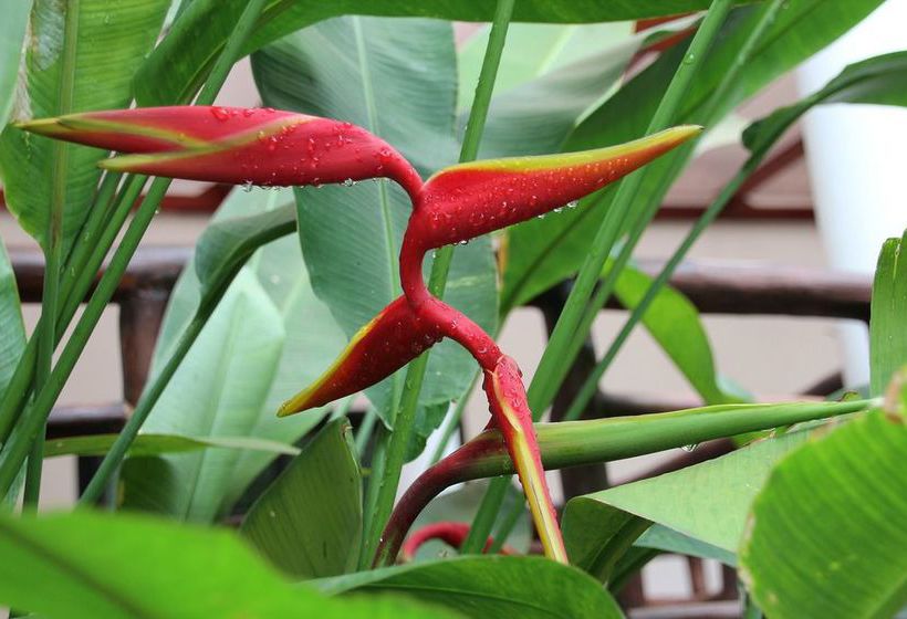 Hotel Chayada Garden House & Resort 14