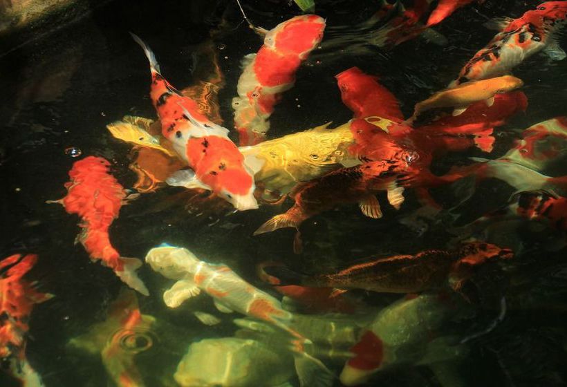 Hotel Chayada Garden House & Resort 19