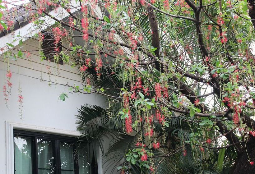 Hotel Chayada Garden House & Resort 20