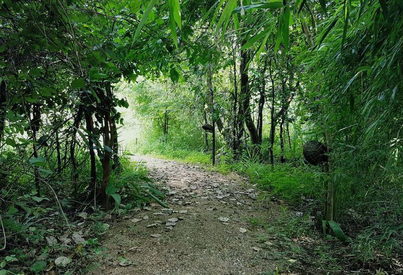 Hotel Tiger N Woods Awarghani