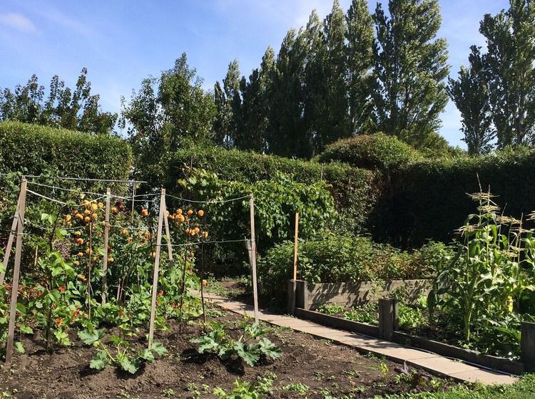 Water Lily Garden B&b 11