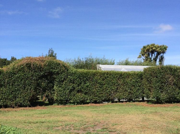 Water Lily Garden B&b 5