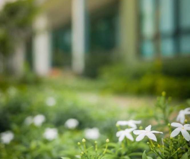 Hotel Moonlight Cottage Resort 18