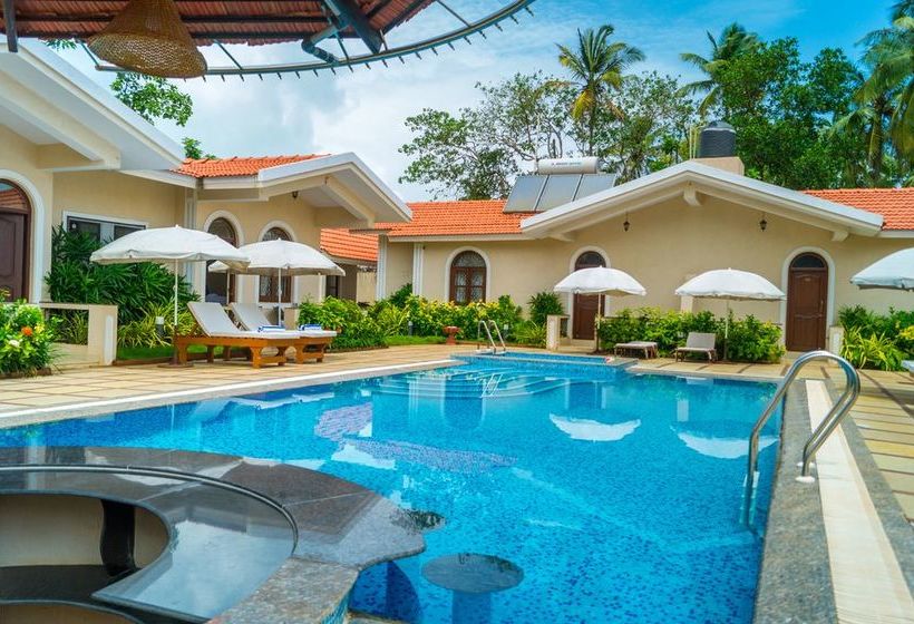 Hotel Jacks Resort 6