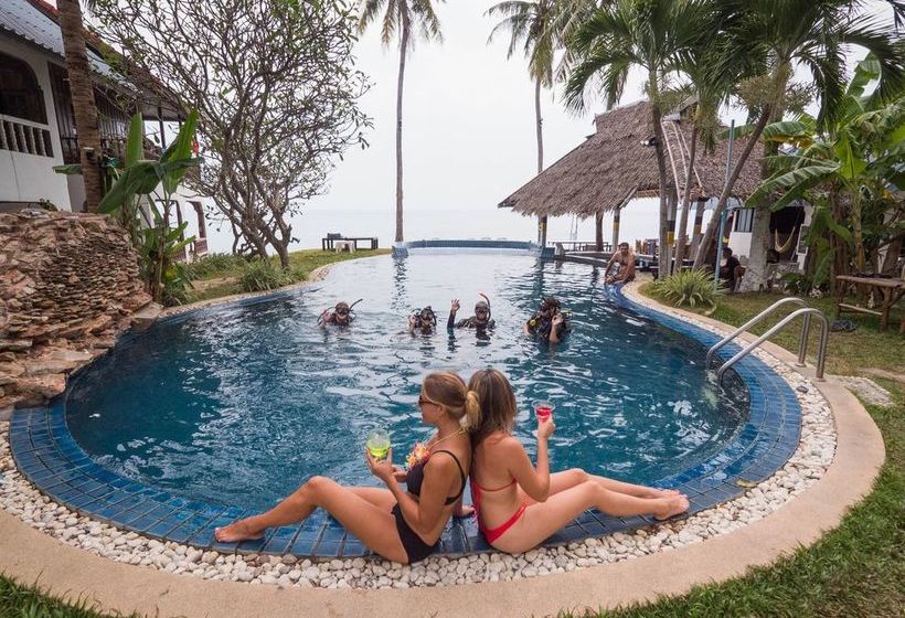 Auberge Hôtelière Bunk Up Hacienda 7