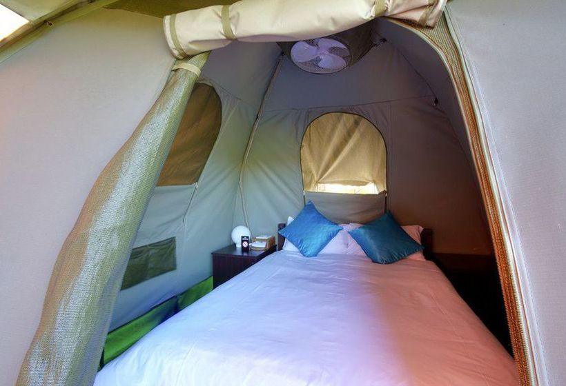 Hostel Monzi Safaris 2