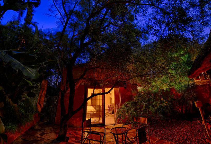 Hotel The Bush House 16