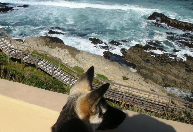 Pension Villa Venusta 17