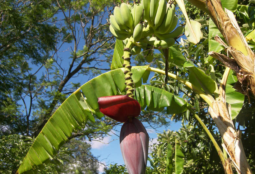 Pension Swellendam Country Lodge 14