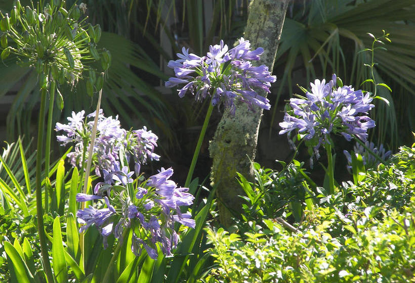 Pension Swellendam Country Lodge 15