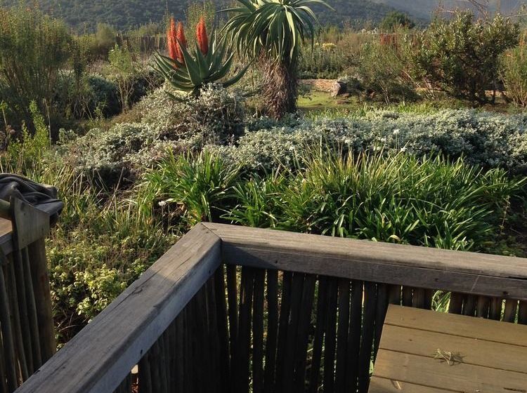 Protea Wilds Retreat 16
