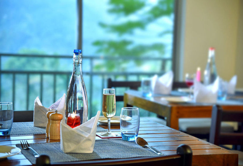 Resort Mistletoe Munnar 18