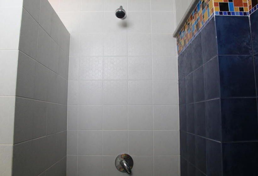 Hotel Dinar Lodge 10