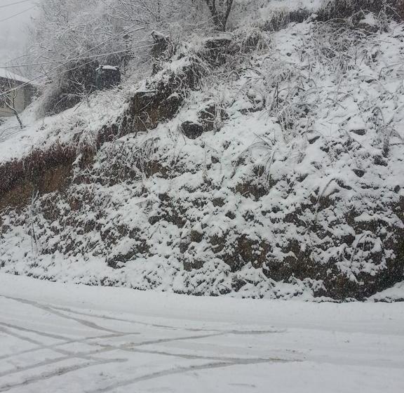 Hotel The Holiday Heights Manali 2