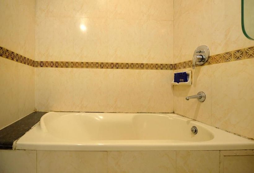 Hotel Oyo Premium Somajiguda 10