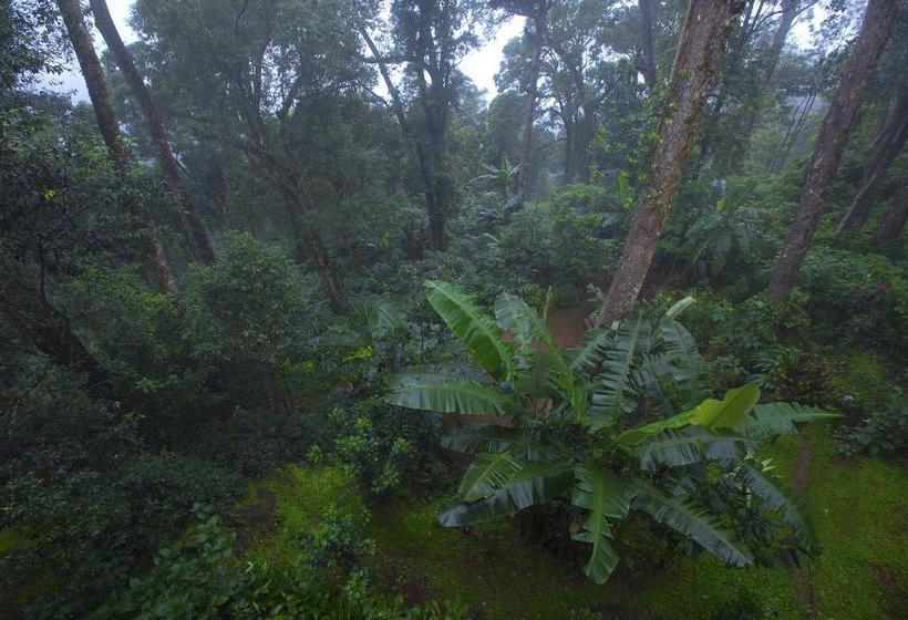 Hotel Madhumanthra Resort 12