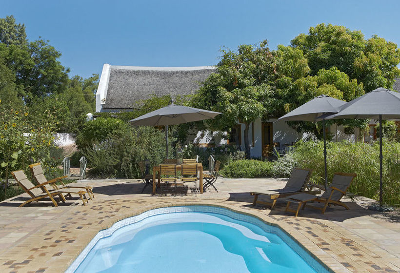 Pensión Yellow Aloe Guesthouse Western Cape