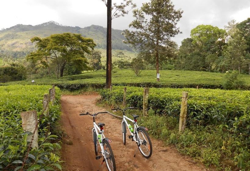 Hotel Tea Harvester Munnar 10