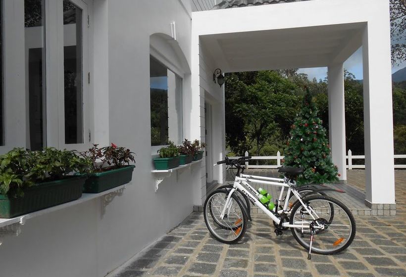 Hotel Tea Harvester Munnar 11