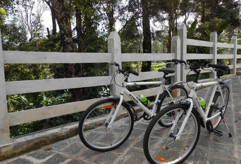 Hotel Tea Harvester Munnar 12