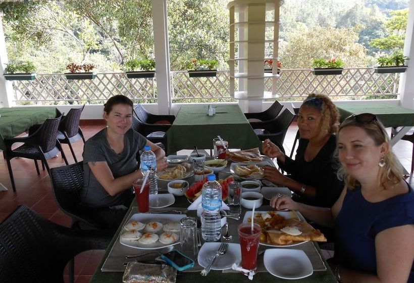 Hotel Tea Harvester Munnar 16