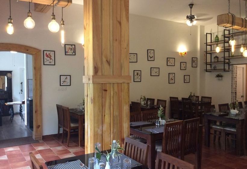 Hotel Tea Harvester Munnar 17