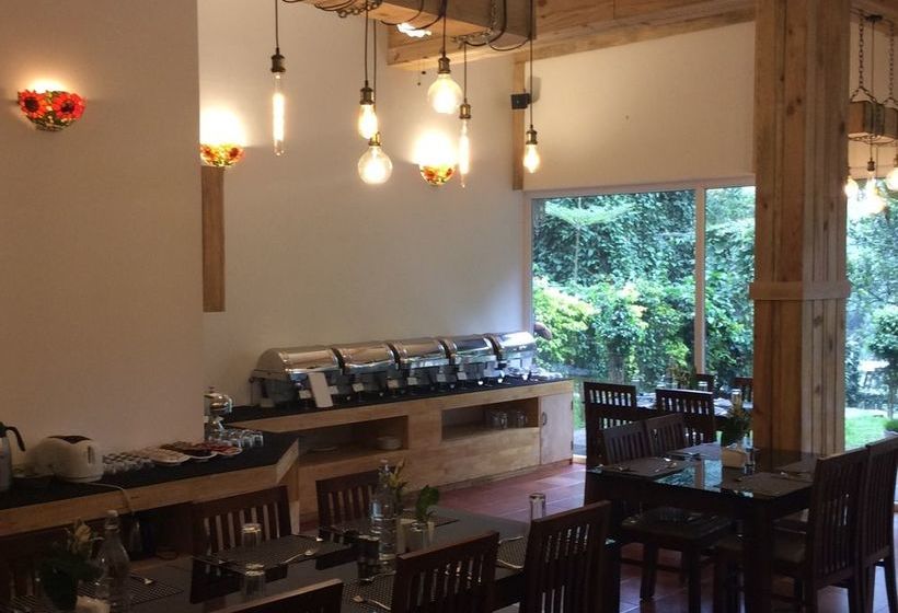 Hotel Tea Harvester Munnar 18