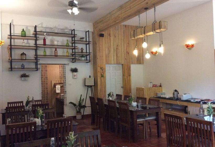 Hotel Tea Harvester Munnar 19