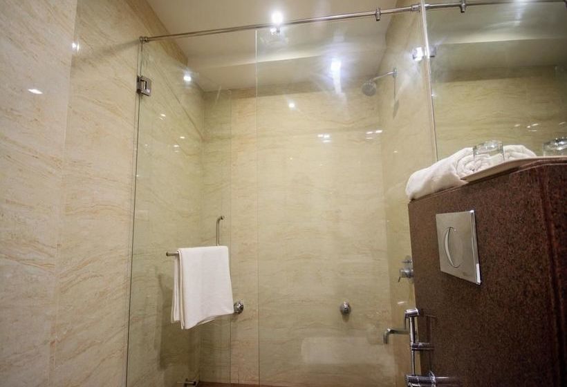 Hotel Oyo Premium Shahibaug Airport Road 18