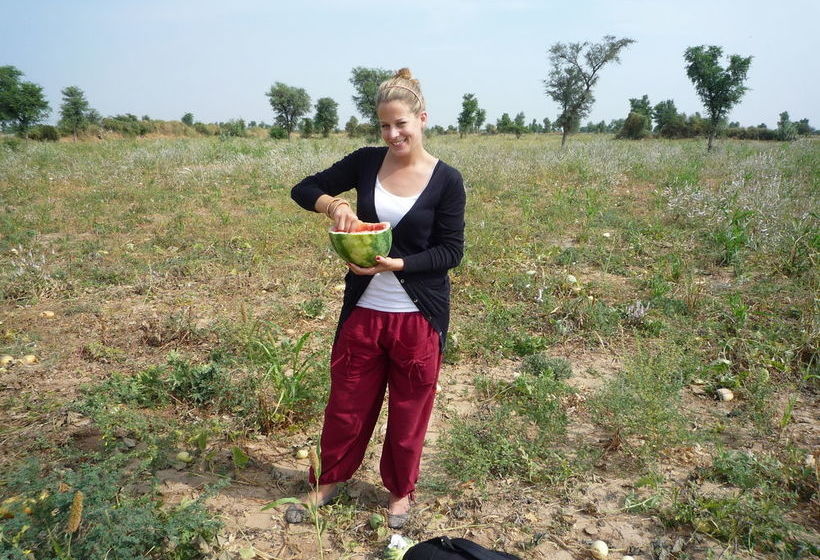 Hostel Chhotaram Prajapat Homestay 10