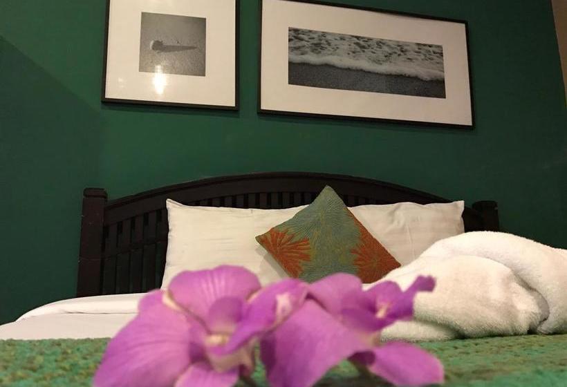 Hotel Phuket Siam Hostel 10