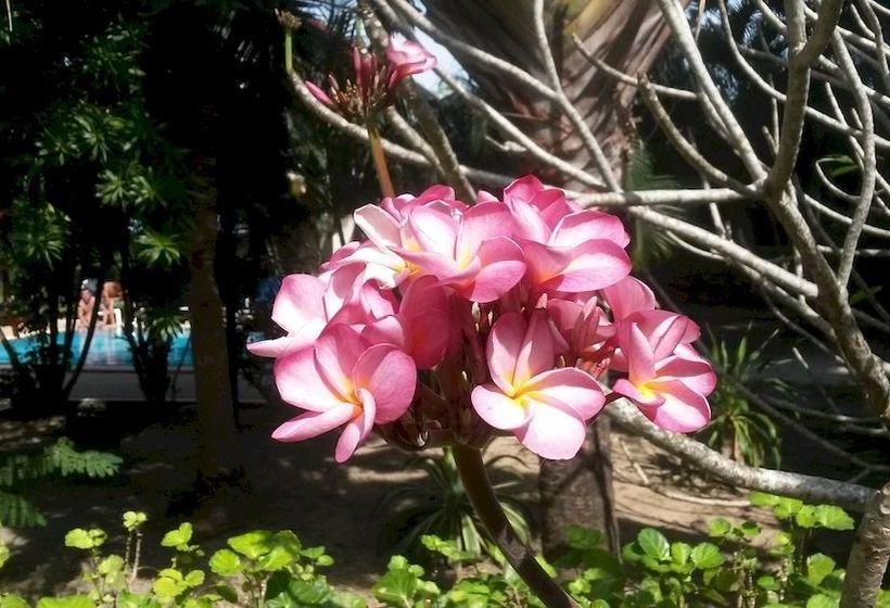 Pension Rawai Garden Bungalows 15