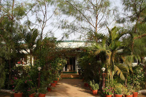 Hotel United 21 Tiger's Habitat 9